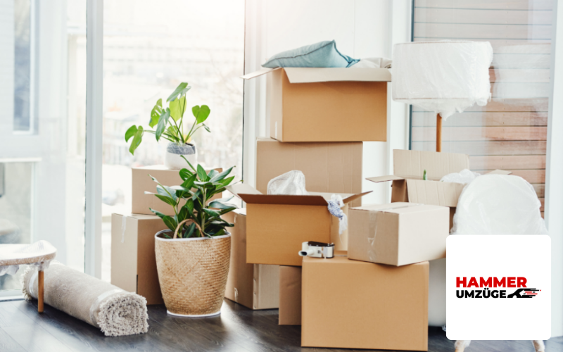 Webdesign Agentur Karlsruhe Referenz Umzugsunternehmen